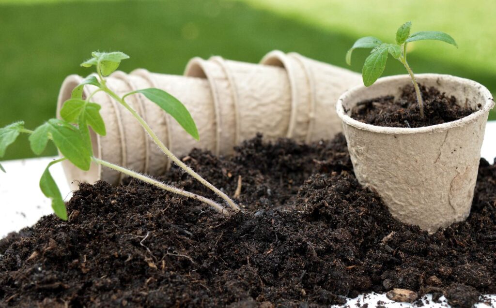  A gardener facing challenges while growing flowers in a garden