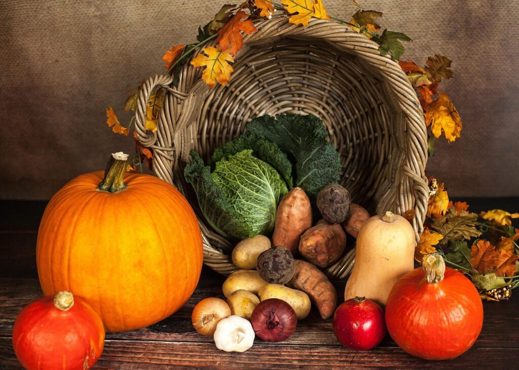 Gardener caring for fall vegetables in a thriving autumn garden