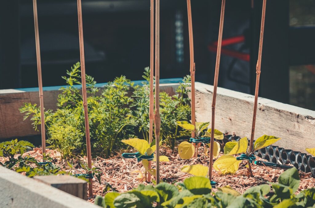 Raised Bed Gardens