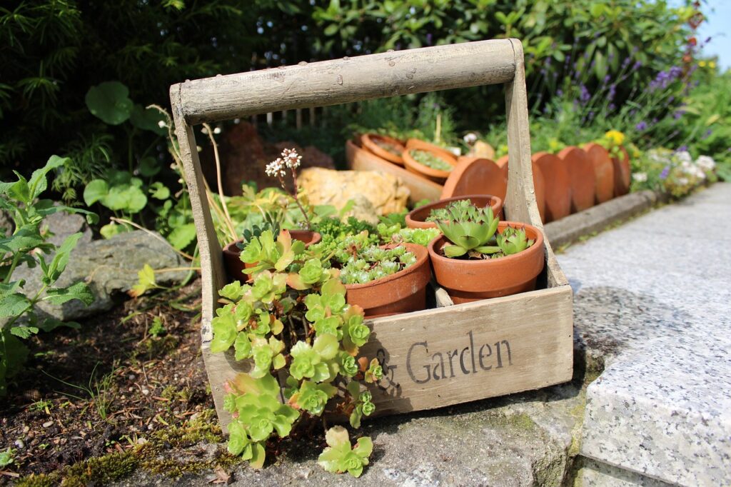 Garden Pots