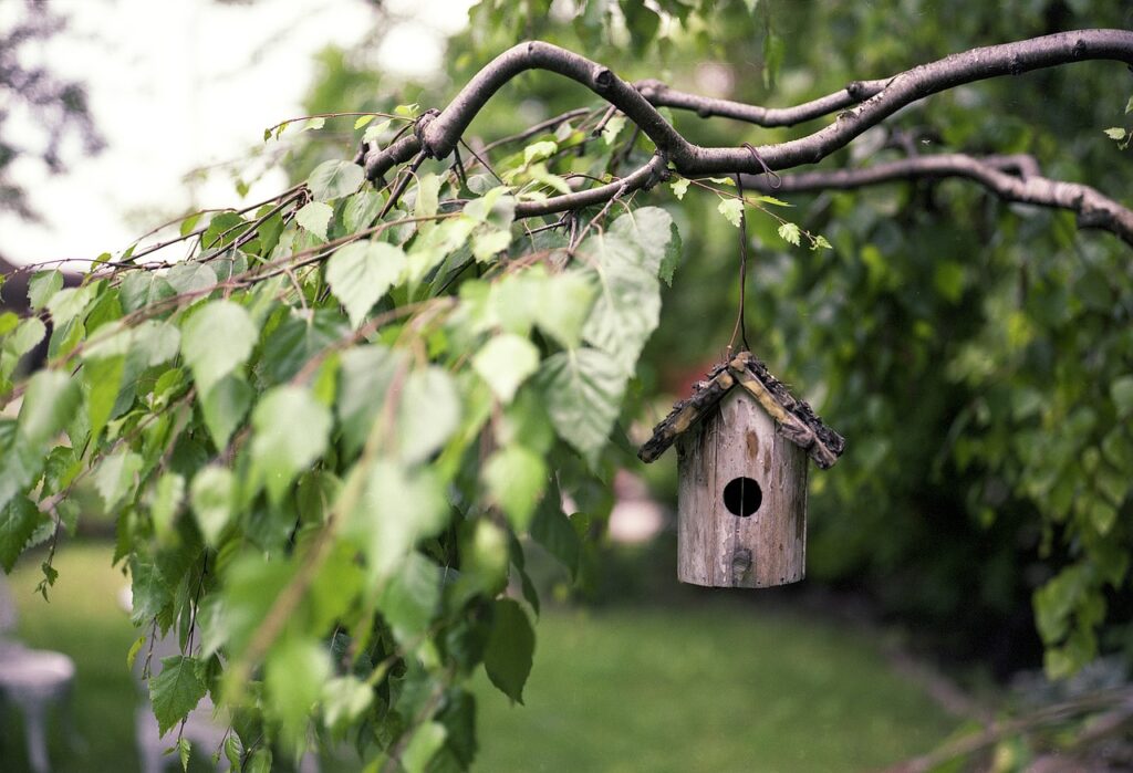 A vibrant garden with bird feeders, birdbaths, and native plants attracting various birds.