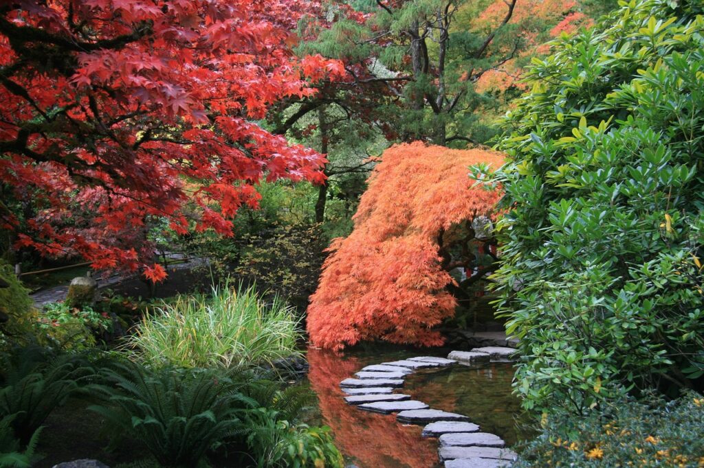 Backyard Japanese Garden Design Plan