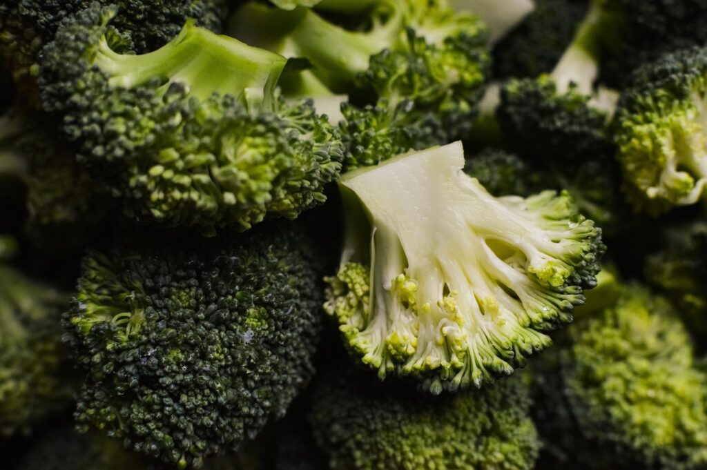 Healthy broccoli heads and Brussels sprouts growing on stalks