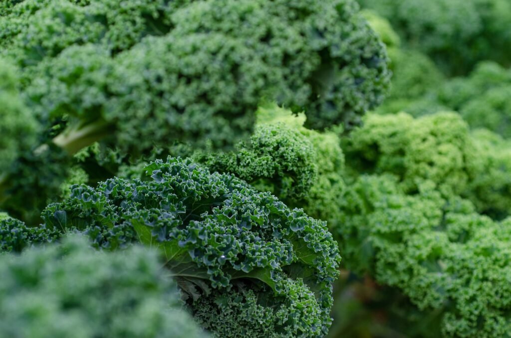 Close-up of fresh kale and spinach leaves