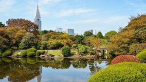 Shinjuku Gyoen National Garden in Tokyo, Japan during spring season,